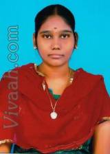 divya24  : Pillai (Tamil)  from  Salem