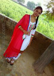 VIJ3013  : Rajput (Punjabi)  from  Bikaner