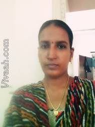 VIJ6183  : Mudaliar Senguntha (Tamil)  from  Chennai