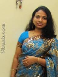 VIJ7198  : Vellalar (Tamil)  from  Galle