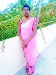 VIJ7545  : Devendra Kula Vellalar (Tamil)  from  Tiruchirappalli