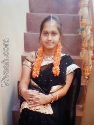 VIJ8427  : Balija (Telugu)  from  Cuddapah