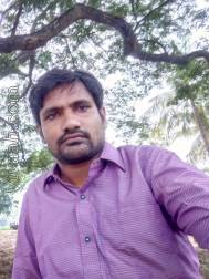 VIK1706  : Perika (Telugu)  from  Tanuku