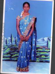 VIK1756  : Unspecified (Tamil)  from  Tirunelveli