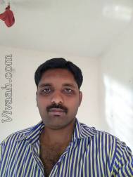 VIK3197  : Vanniyakullak Kshatriya (Tamil)  from  Chidambaram