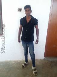 VIK4560  : Devendra Kula Vellalar (Tamil)  from  Coimbatore