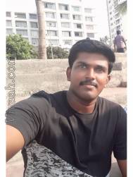 VIK5600  : Marvar (Tamil)  from  Thenkasi