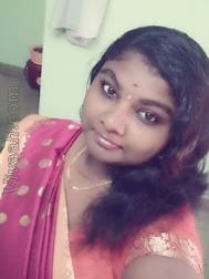 VIK5619  : Mudaliar (Tamil)  from  Chennai