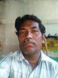 VIK8556  : Viswabrahmin (Telugu)  from  Kurnool