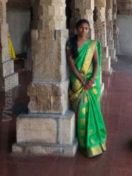 VIL0610  : Vishwakarma (Tamil)  from  Erode