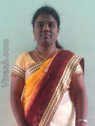 VIL1043  : Vaddera (Telugu)  from  Madurai