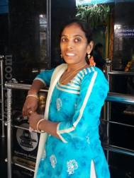 VIL5318  : Arya Vysya (Telugu)  from  Guntur