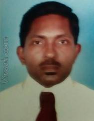 VIL5362  : Vellalar (Tamil)  from  Colombo (Western - Sri Lanka)