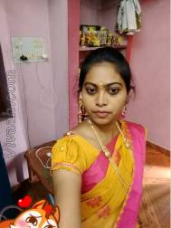 VIL5453  : Adi Dravida (Tamil)  from  Chennai