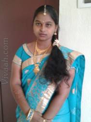 VIL7074  : Vaddera (Telugu)  from  Cuddapah