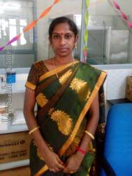 VIL8568  : Adi Dravida (Tamil)  from  Salem (Tamil Nadu)
