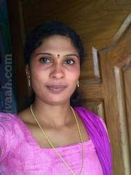 VIL8986  : Adi Dravida (Tamil)  from  Chennai