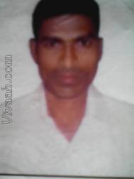 VIM2883  : Vellama (Telugu)  from  Vizianagaram