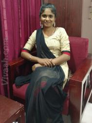 VIM3690  : Sozhiya Vellalar (Tamil)  from  Coimbatore