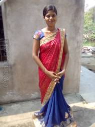 VIM5612  : Dheevara (Oriya)  from  Bhadrak