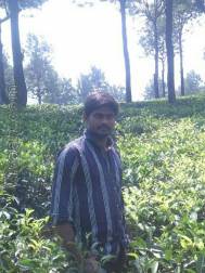 VIN0546  : Kongu Vellala Gounder (Tamil)  from  Coimbatore
