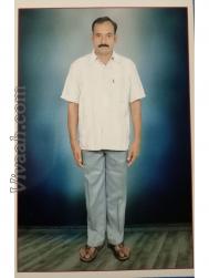 VIN1533  : Brahmin Madhwa (Kannada)  from  Chennai