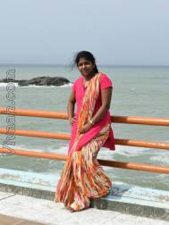 VIN2701  : Sozhiya Vellalar (Tamil)  from  Chennai