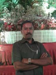 VIN3210  : Rajaka (Telugu)  from  Hyderabad