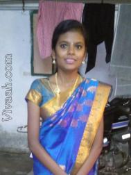 VIN5954  : Roman Catholic (Tamil)  from  Chennai