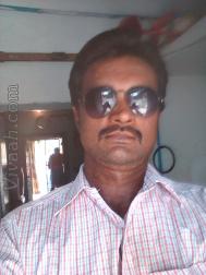 VIN6228  : Viswabrahmin (Telugu)  from  Palakollu