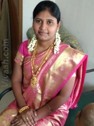 VIN8029  : Sozhiya Vellalar (Tamil)  from  Namakkal