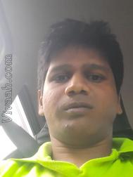 VIO3393  : Pal (Hindi)  from  Kamthi