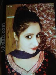 VIO4855  : Majabi (Punjabi)  from  Khanna