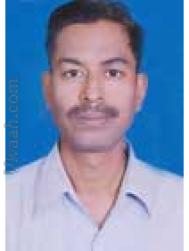 VIO6293  : Brahmin Gour (Hindi)  from  Indore