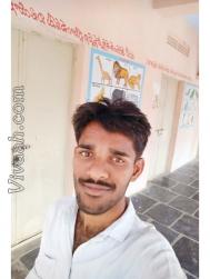 VIO8292  : Reddy (Telugu)  from  Guntur