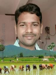 VIP0386  : Reddy (Telugu)  from  Guntur