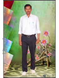 VIP4895  : Arya Vysya (Telugu)  from  Guntur