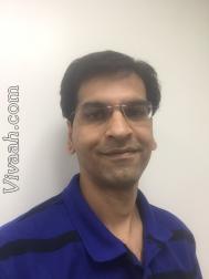 VIP6646  : Patel Kadva (Gujarati)  from  Albany (New York)
