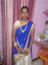 VIQ6175  : Boyer (Tamil)  from  Dharmapuri