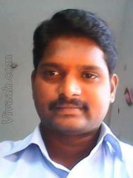 VIQ7870  : Gavara (Telugu)  from  Bhimavaram