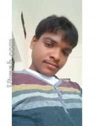VIQ7985  : Viswabrahmin (Telugu)  from  Palakollu