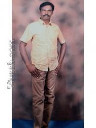 VIR2271  : Kongu Vellala Gounder (Tamil)  from  Dharapuram