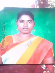 VIR6288  : Devendra Kula Vellalar (Tamil)  from  Tirunelveli