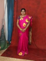 VIR8529  : Devadiga (Tulu)  from  Mangalore