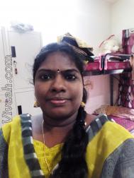 VIS2383  : Vanniyakullak Kshatriya (Tamil)  from  Chennai