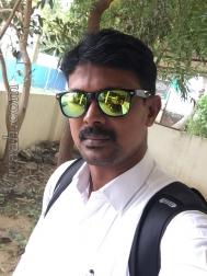 VIS3255  : Gavara (Tamil)  from  Coimbatore