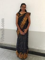 VIT2337  : Thiyya (Malayalam)  from  Tellicherry
