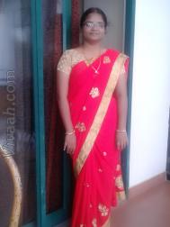 VIT4587  : Gavara (Tamil)  from  Madurai