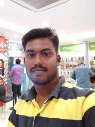 VIU2385  : Naidu (Tamil)  from  Dindigul