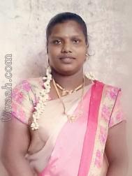 VIU7898  : Adi Dravida (Tamil)  from  Chennai